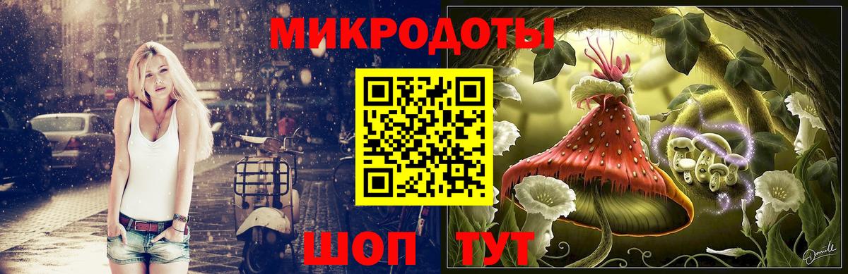 Воронеж  Псилоцибиновые грибы Cubensis  Вход с VPN 