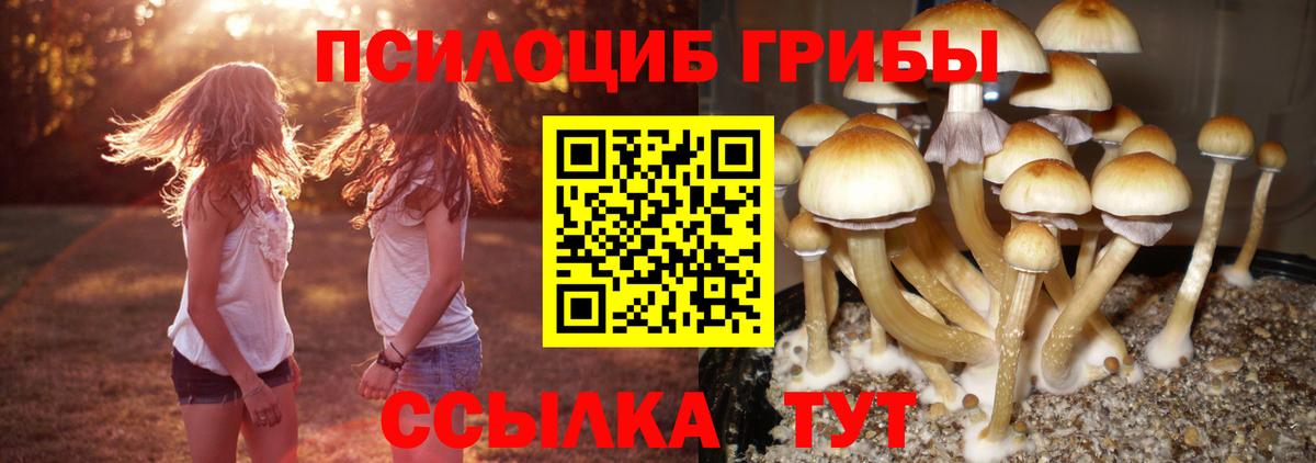 Галлюциногенные грибы MAGIC MUSHROOMS Воронеж